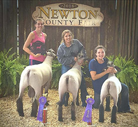 Wrights Rocky Acres Winners