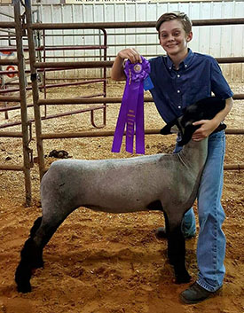 Wrights Rocky Acres Winners