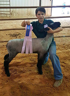 Wrights Rocky Acres Winners