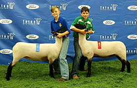 Wrights Rocky Acres Winners