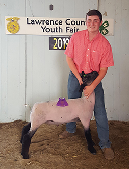 Wright's Rocky Acres Winners
