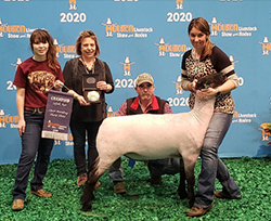 Wright's Rocky Acres Winners