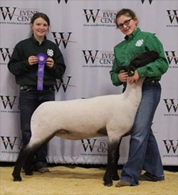 Wright's Rocky Acres Winners