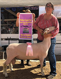 Wright's Rocky Acres Winners