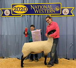 Wright's Rocky Acres Winners