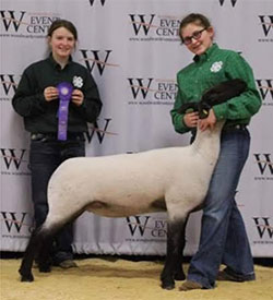 Wright's Rocky Acres Winners
